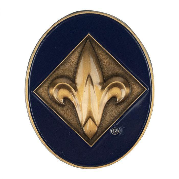 Webelos Logo - Webelos Oval Rank Coin