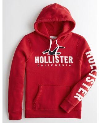 Hollster Logo - Surprise! 50% Off Guys Logo Graphic Hoodie from Hollister