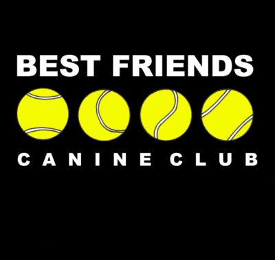 Bfcc Logo - BFCC Friends Canine Club Buy A Brick Campaign