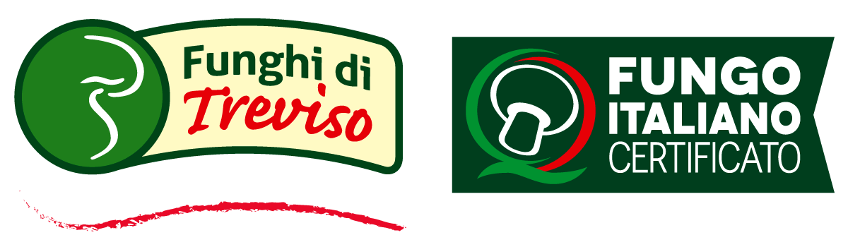 Treviso Logo - COMPANY - Consorzio Funghi Treviso