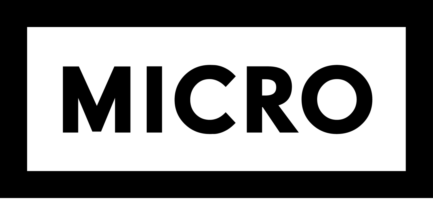 Micro Logo - MICRO