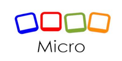 Micro Logo - MICRO