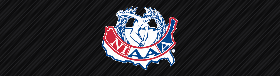 NIAAA Logo - NIAAA 40th Anniversary Video