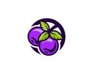 Blueberry Logo - blueberry Logo Design | BrandCrowd