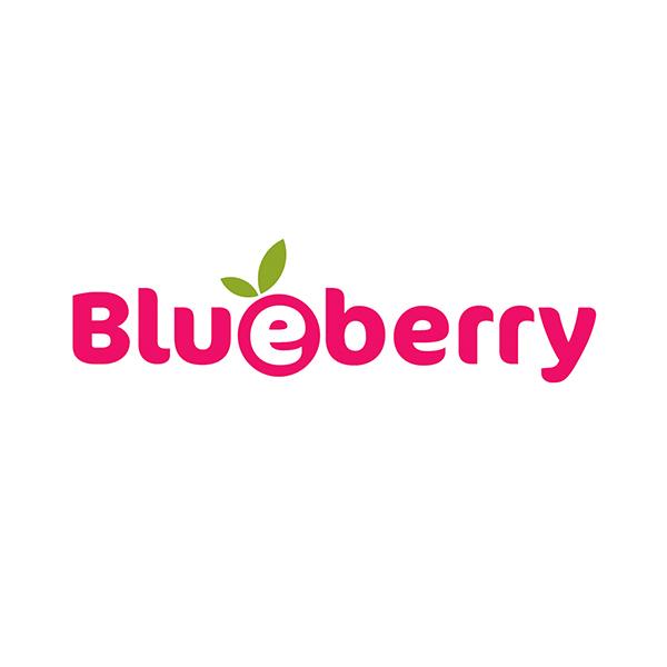 Blueberry Logo - EcoBaby