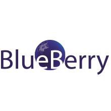 Blueberry Logo - logo blueberry bar