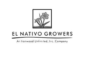 Nativo Logo - El Nativo Logo