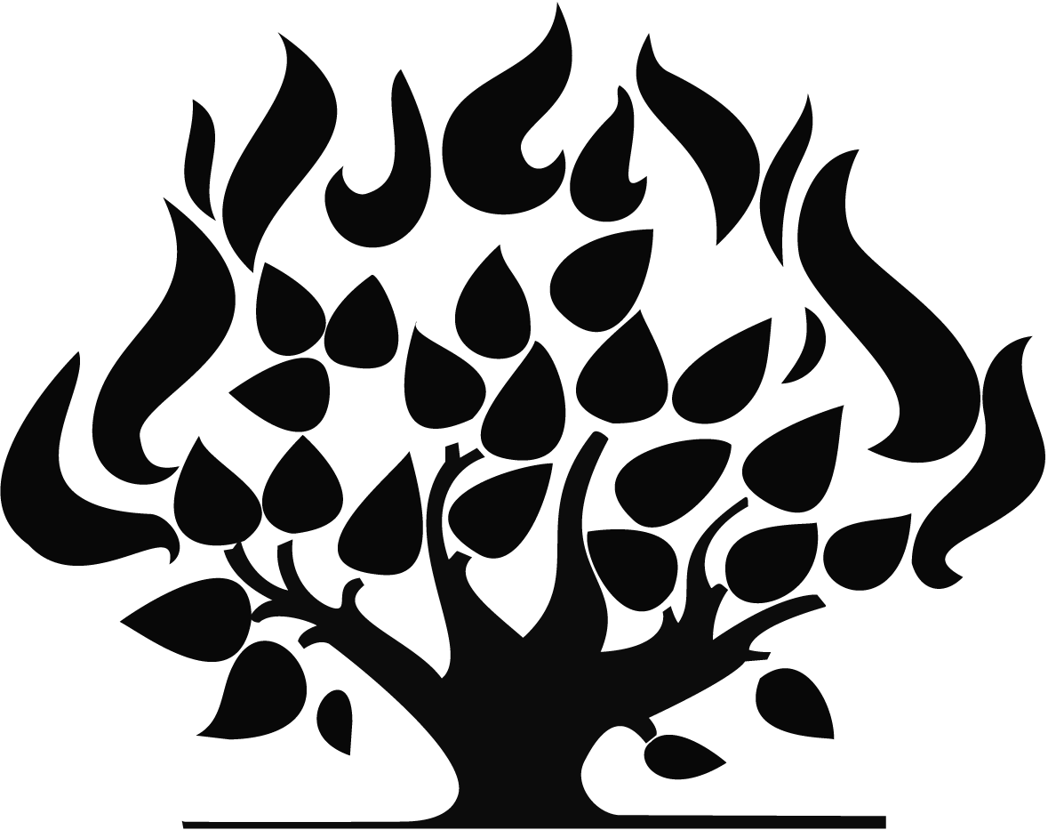 Bush Logo - Burning Bush - Presbyterian Church Ireland