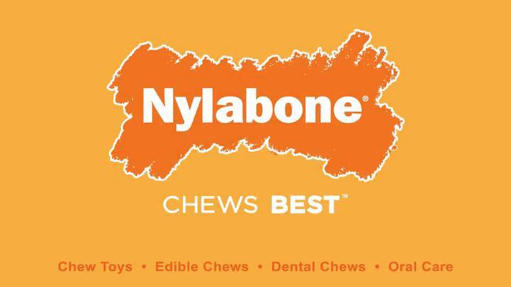 Nylabone Logo - Nylabone Natural Healthy Edibles Wild with Real Bison Large Dog ...