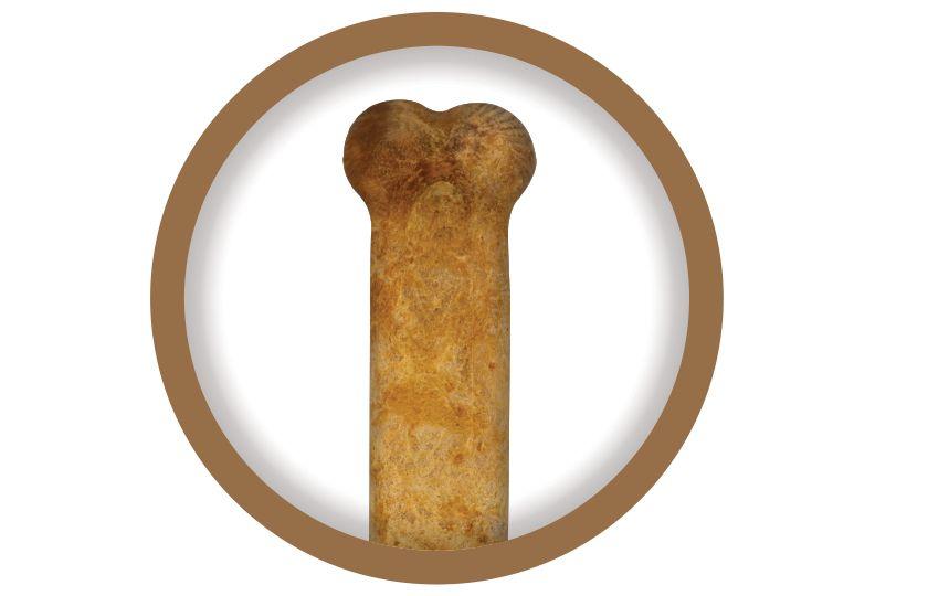 Nylabone Logo - Nylabone® Products: Toys, Treats & Chews | PetSmart