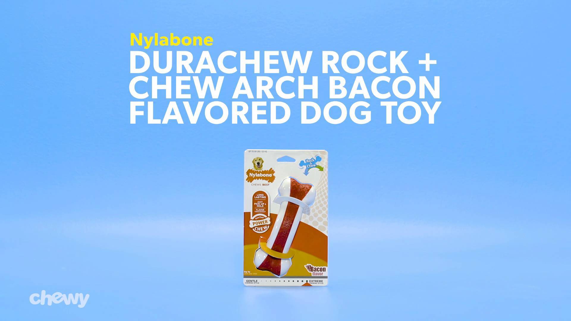 Nylabone Logo - Nylabone DuraChew Rock & Chew Arch Bacon Flavored Dog Toy, Regular ...