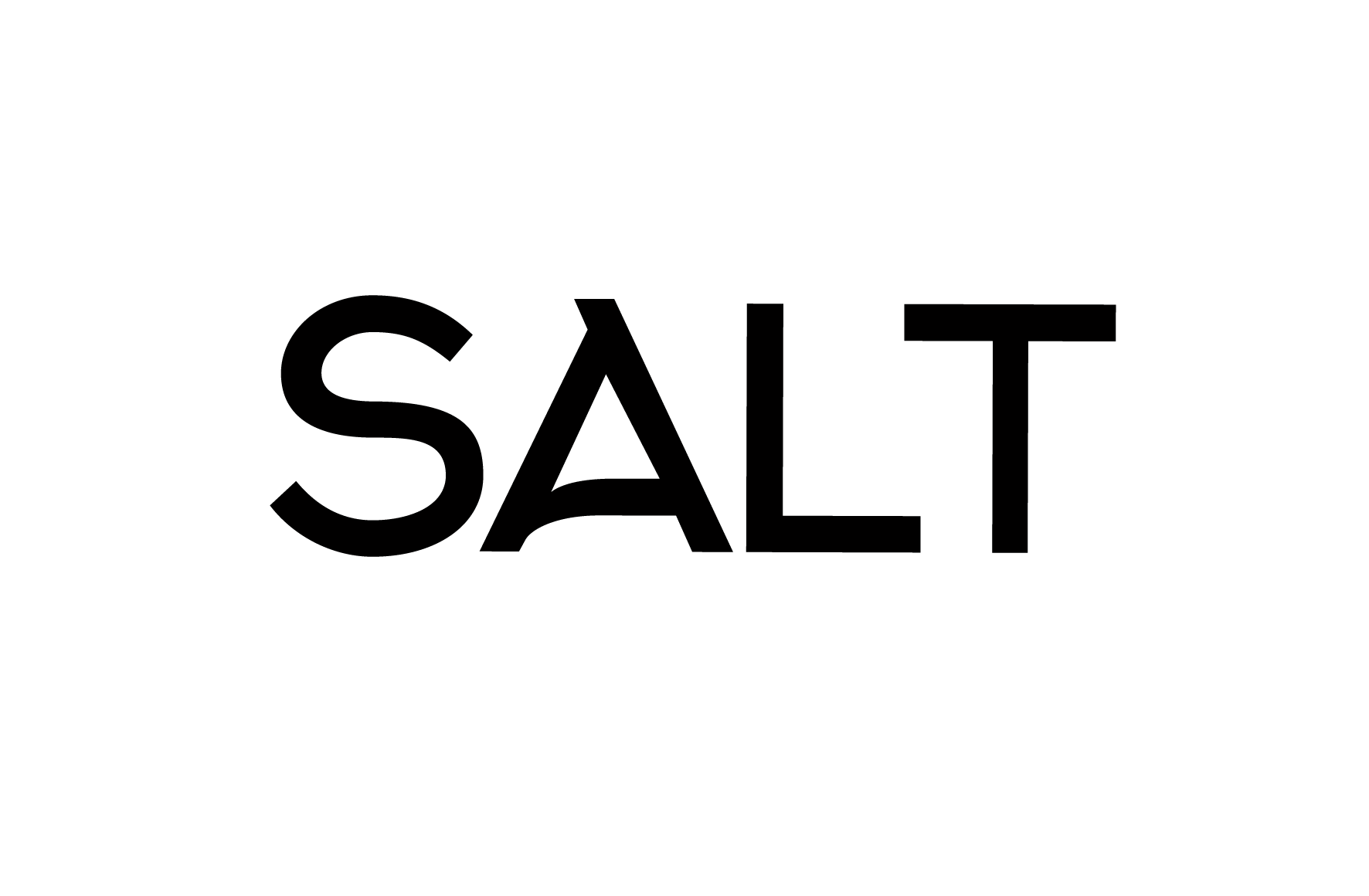 Salt Logo - Digital Marketing & Branding For Small Businesses | Salt Media