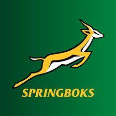 Springboks Logo - Dear ANC: Please leave the Springbok logo alone | Sport24