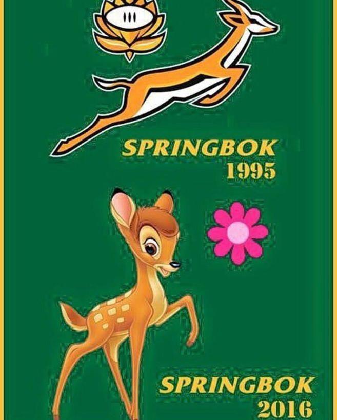 Springboks Logo - Reddit user's cheeky remake of the Springboks logo is very en-deer-ing