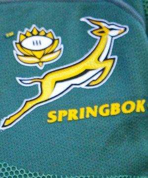 Springboks Logo - Springboks logo set to be axed | Stuff.co.nz