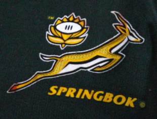 Springboks Logo - Springboks announce historic change | Live Rugby News | ESPN Scrum