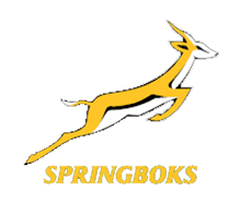 Springboks Logo - The Official Springbok Opus - The definitive book on the history of ...