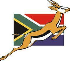 Springboks Logo - 15 Best Springboks images | Google images, News south africa ...