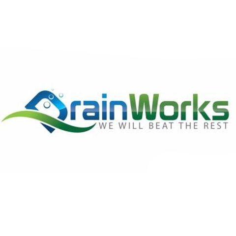 Drain Logo - Drain Works, L.L.C. - Drain Cleaning - Mooresville, IN
