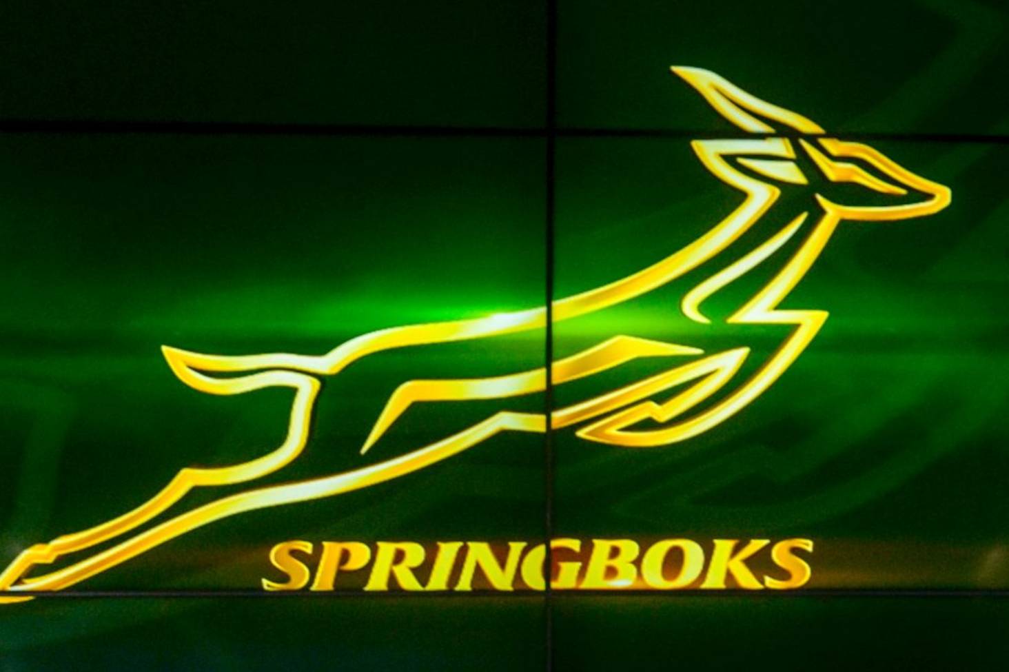 Springboks Logo - Springboks scrap ban on overseas players, a year after bringing it