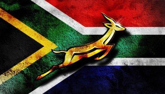 Springboks Logo - Heyneke Meyer quits as Springbok coach