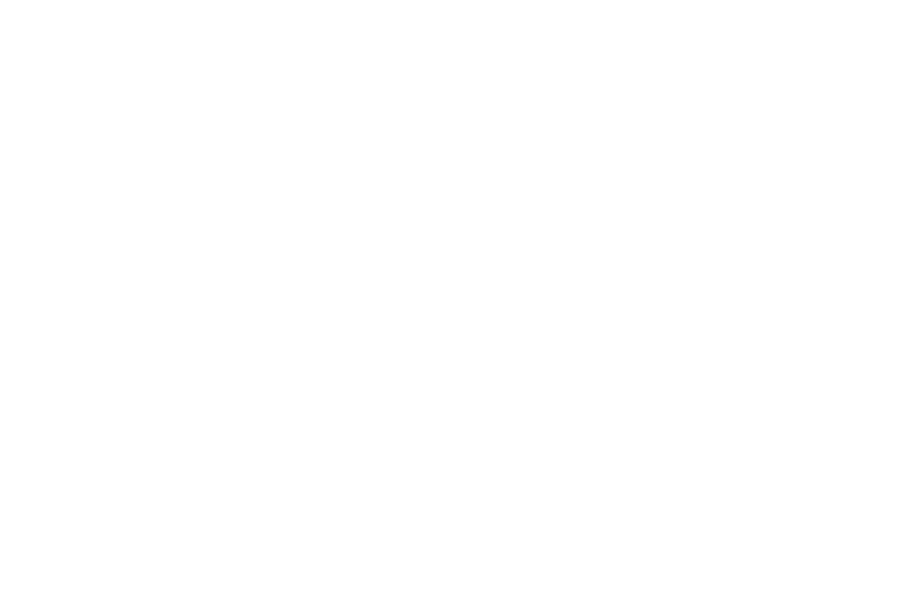 SIFF Logo - SIFF Case Study | Shiftboard