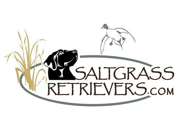 Retriever Logo - Saltgrass Retrievers Dog Training Logo Design