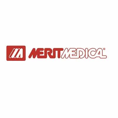 Merit Logo - Merit of the Art 2018