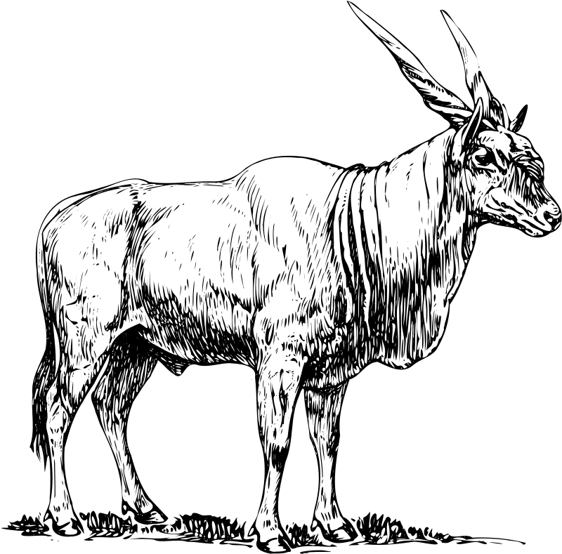 Eland Logo - Eland Free Vector / 4Vector