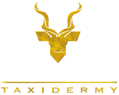 Eland Logo - Life Form Taxidermy | Eland