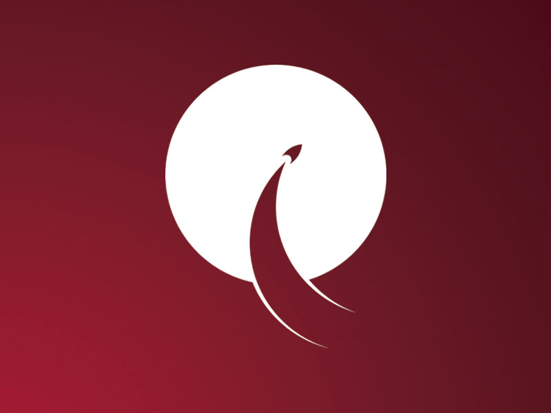 Rocketship Logo - Rocketship Logo by Caio Rossatto de Araújo