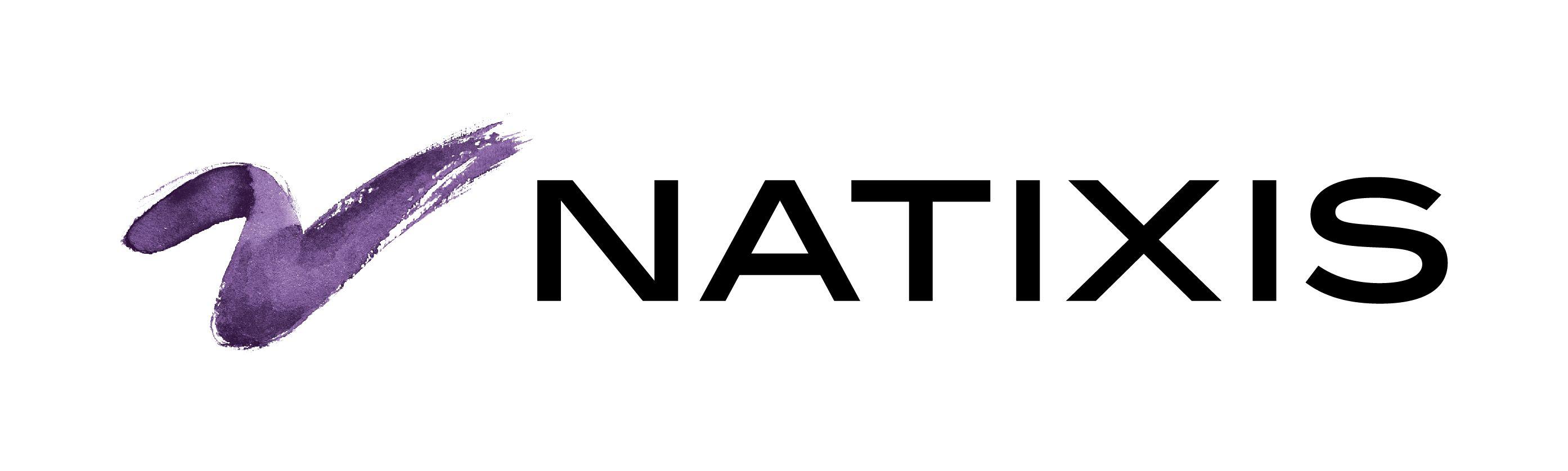 Natixis Logo - Natixis Logo | LOGOSURFER.COM