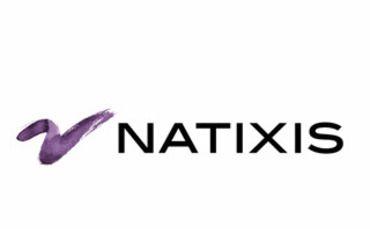 Natixis Logo - Industry Voice: Why Natixis is strengthening its footprint in the UK ...