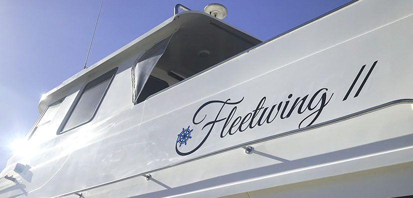 Fleetwing Logo - THE CAPTAIN'S FAVOURITE FEATURES ON FLEETWING II