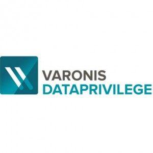 Varonis Logo - DataPrivilege - Cyberworld (Asia) Limited