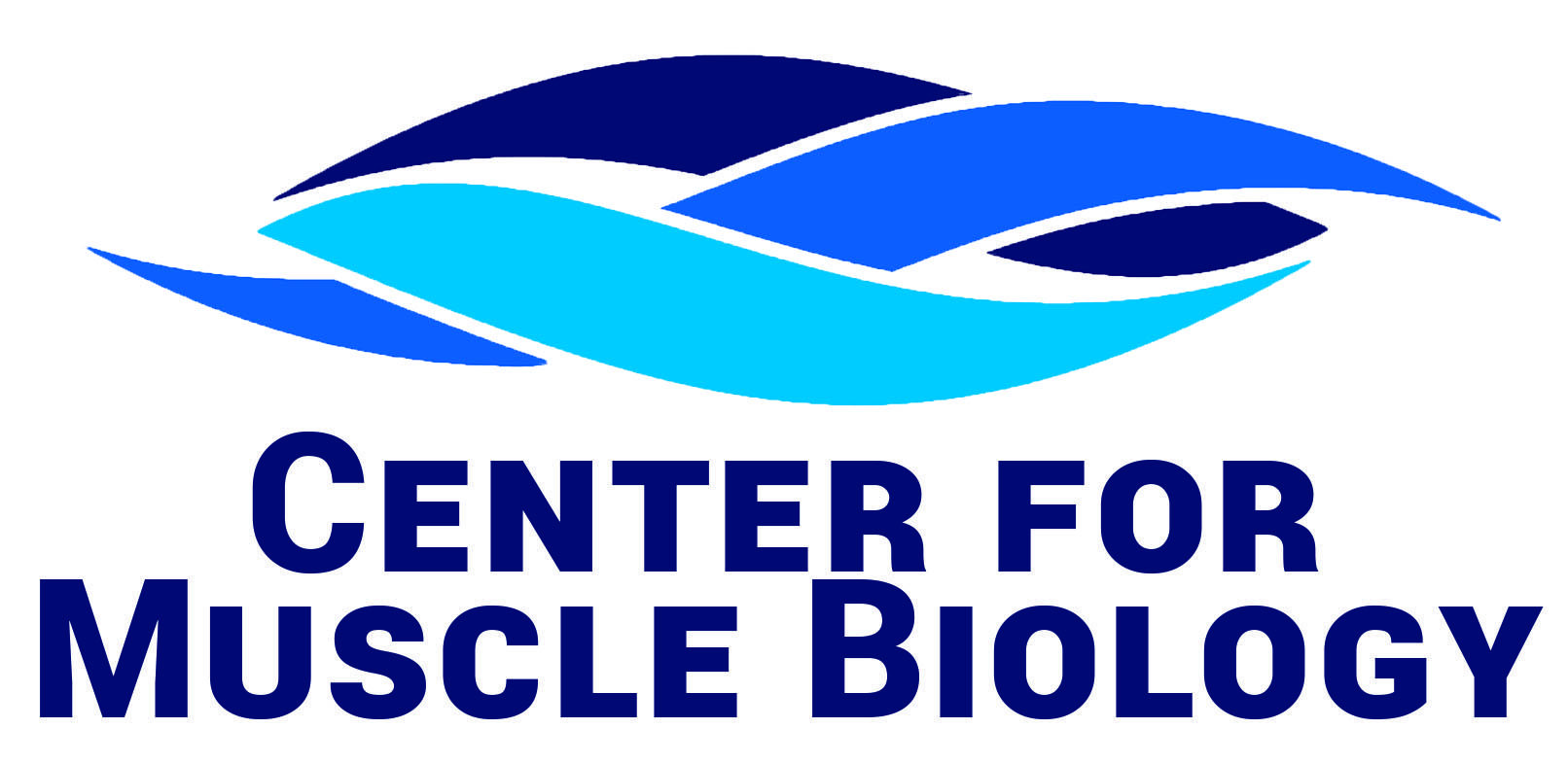 CMB Logo - Center for Muscle Biology - Home