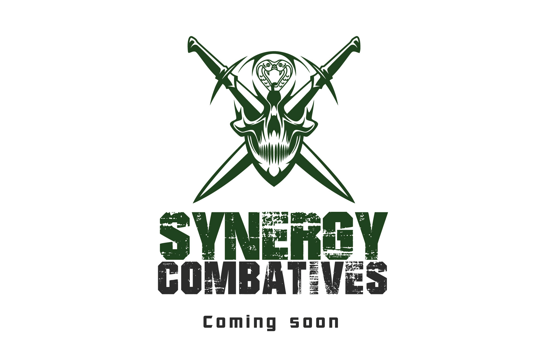 Combatives Logo - Synergy Combat Systems – The Fitness Dojo