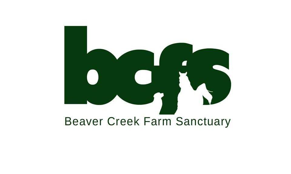 Bcfs Logo - Third Annual Facebook Auction A Success!!! | Beaver Creek Farm Sanctuary