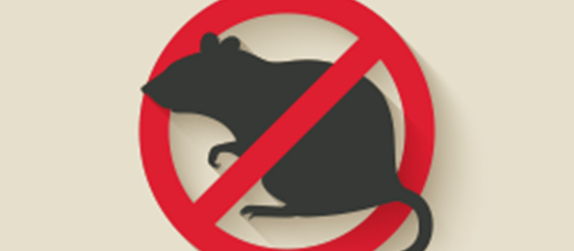 D-Con Logo - Rodent Control 101: How to Get Rid of Mice | d-CON