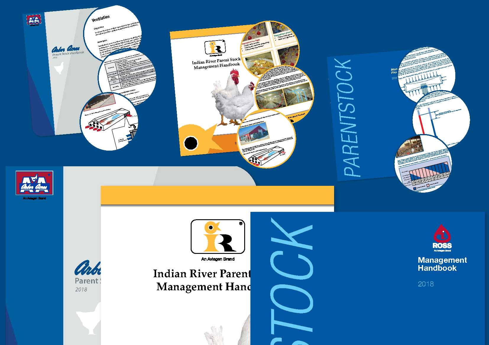 Aviagen Logo - Aviagen releases new Parent Stock handbooks | Poultry News