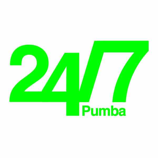 Pumba Logo - 24/7 (Single) by Pumba Soundsystem : Napster