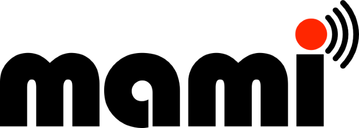 Measurement Logo - MAMI: Measurement and Architecture for a Middleboxed Internet | Simula