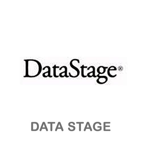 DataStage Logo - I-Genius Technologies