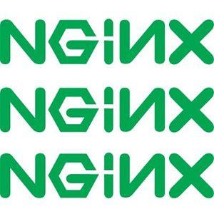 Nginx Logo - Nginx new commercial version is aimed at enterprises
