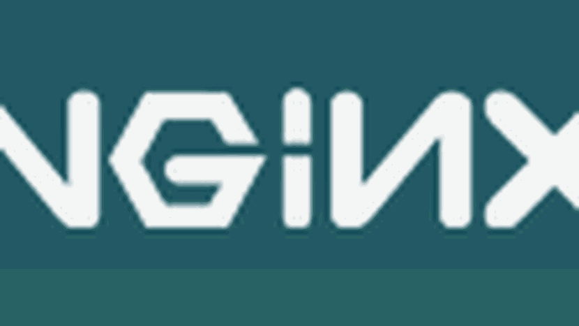 Nginx Logo - Nginx Tries Converting Web Server Popularity Into Money