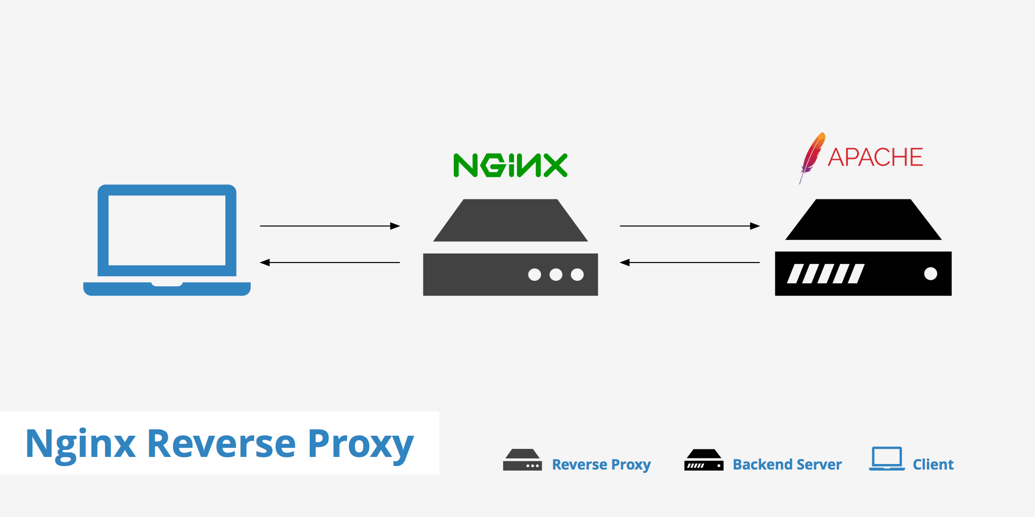 Nginx Logo - Setting up an Nginx Reverse Proxy