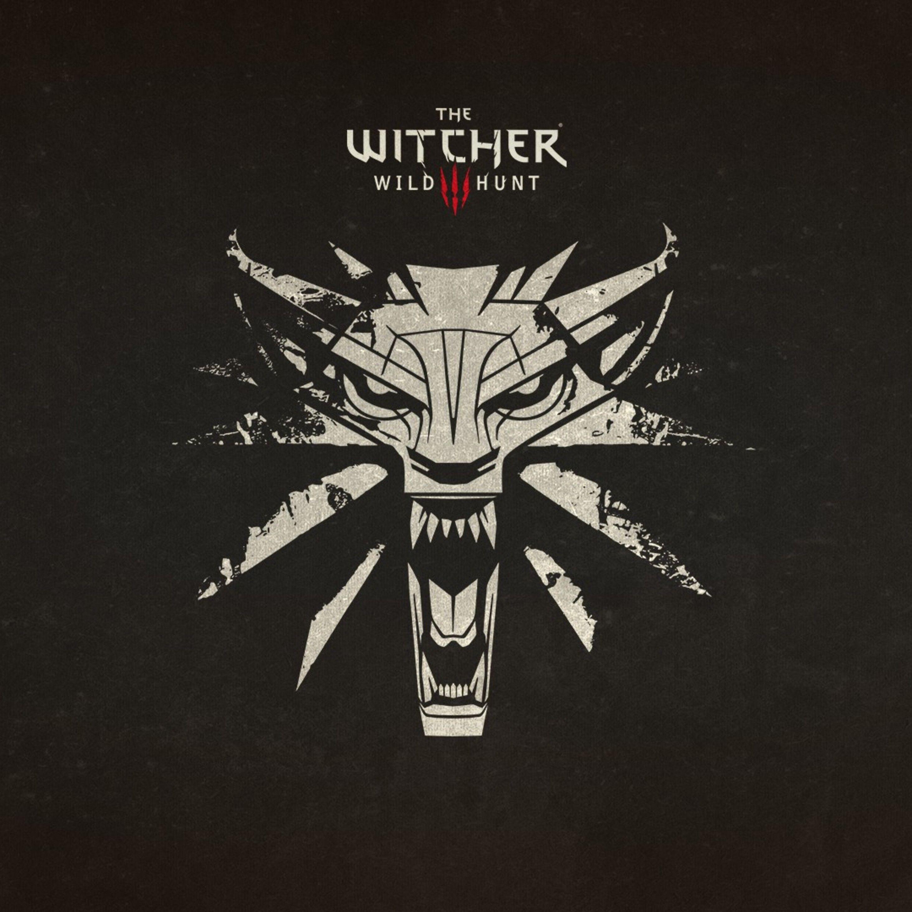 Witcher Logo - The Witcher 3 Wild Hunt Logo iPad Pro Retina Display HD 4k