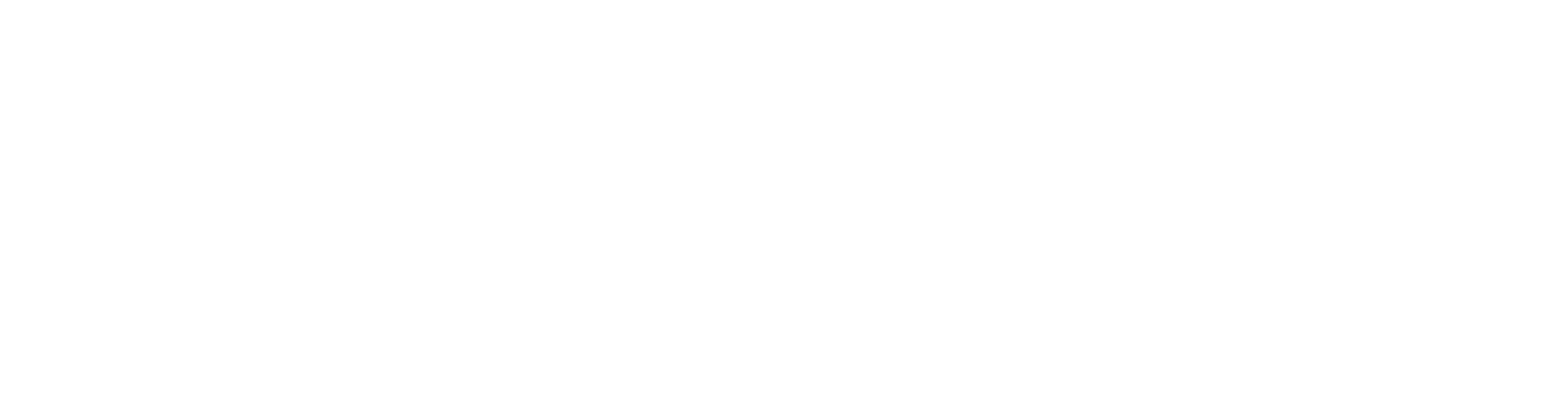 Vai Logo - VAI – Volunteering Among Immigrants