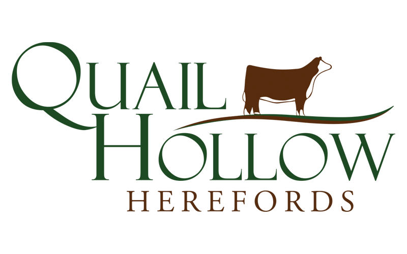 Livestock Logo - Logo Design - Ranch House Designs - Cattle, Livestock, Agriculture