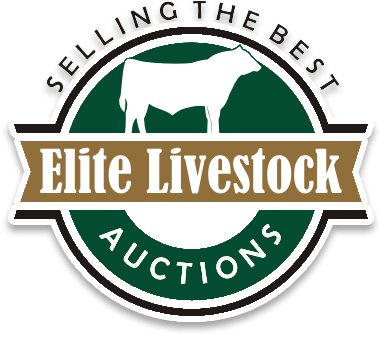 Livestock Logo - Elite Livestock Auctions - Selling the Best